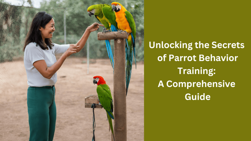 Unlocking The Secrets Of Parrot Behavior Training A Comprehensive